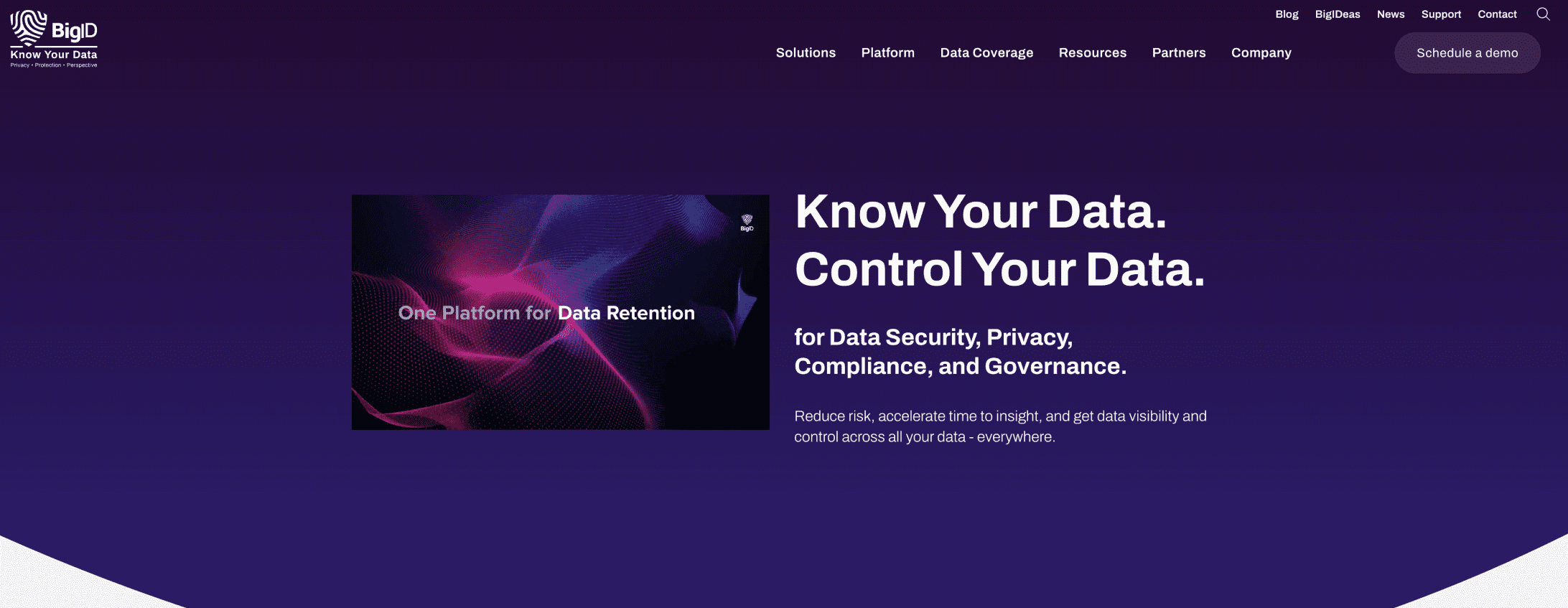bigid-homepage
