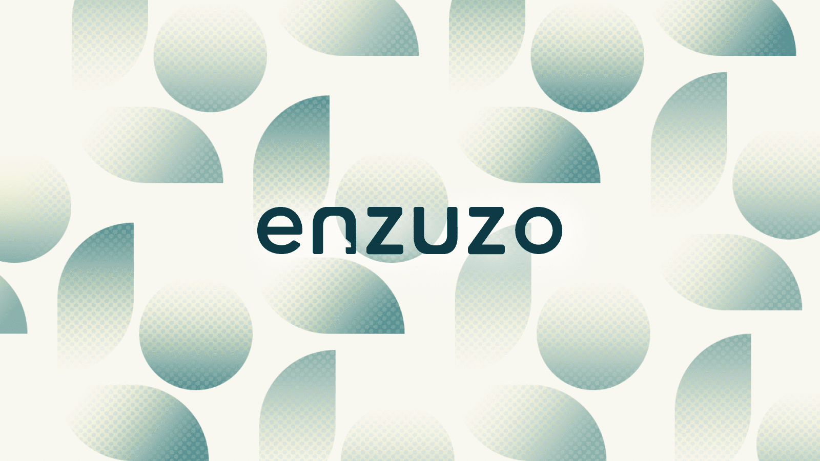 Enzuzo Data Privacy