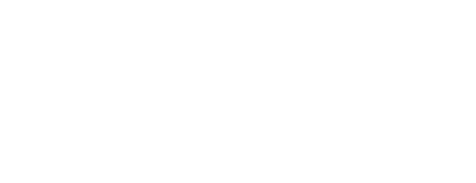 pluslogo_ponyback